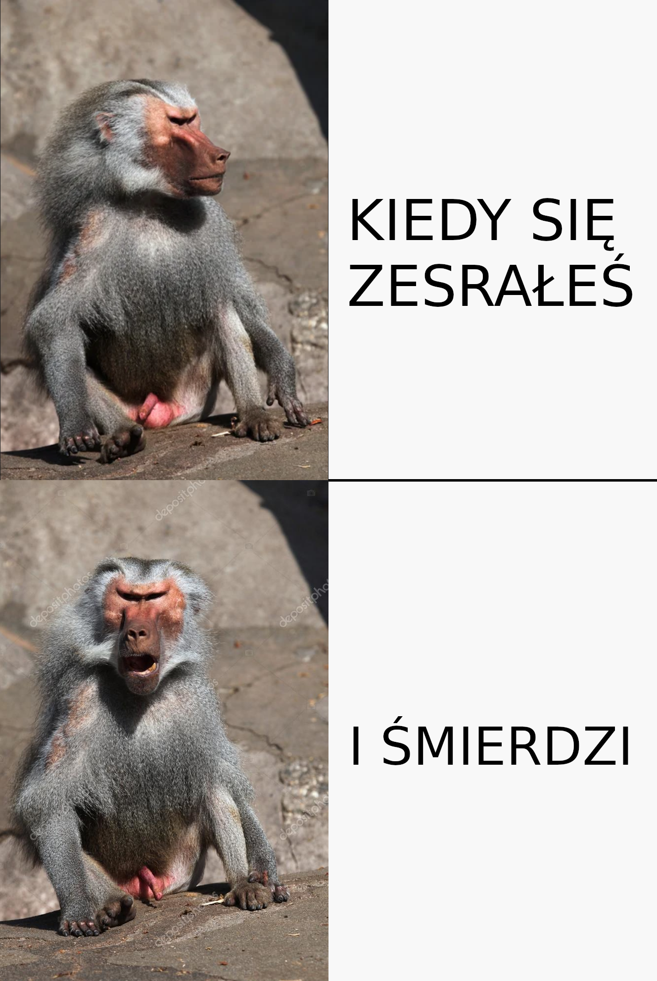 Dzieło sztuki #12899