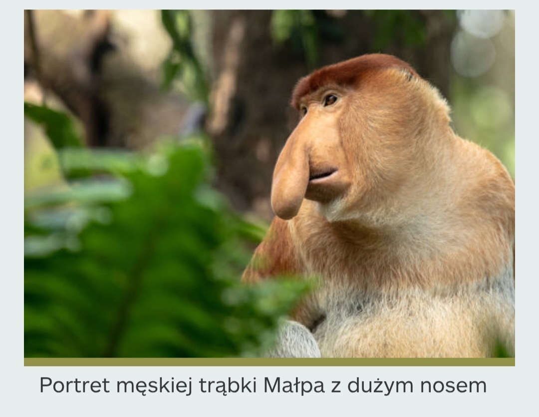 Dzieło sztuki #12914