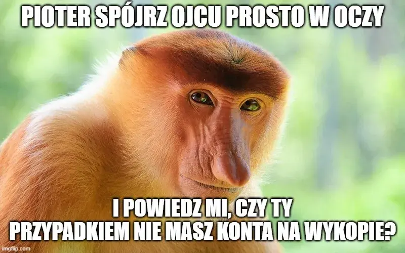 Dzieło sztuki #12984