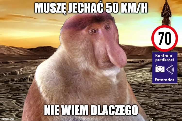 Dzieło sztuki #13003