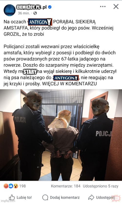 Dzieło sztuki #13035