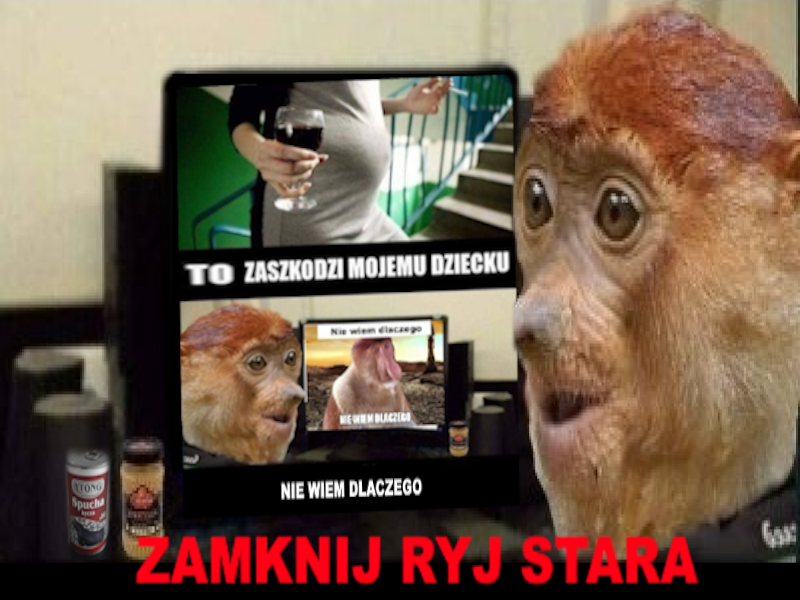 Dzieło sztuki #13039