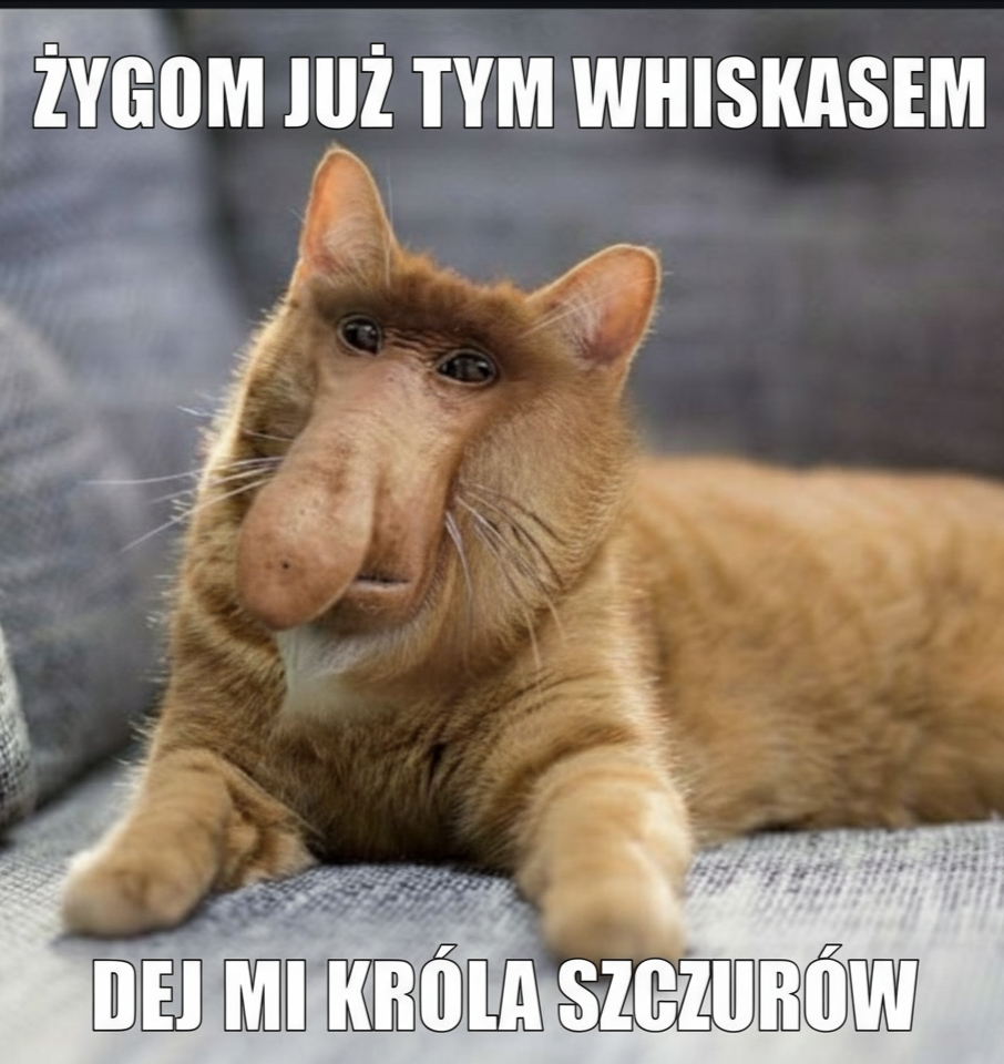 Dzieło sztuki #13045