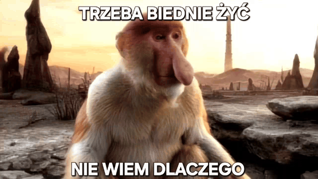 Dzieło sztuki #13052