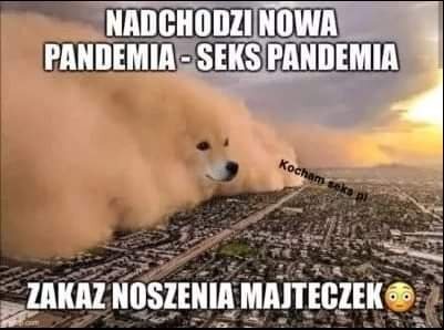 Dzieło sztuki #13053