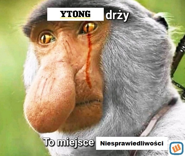 Dzieło sztuki #13074