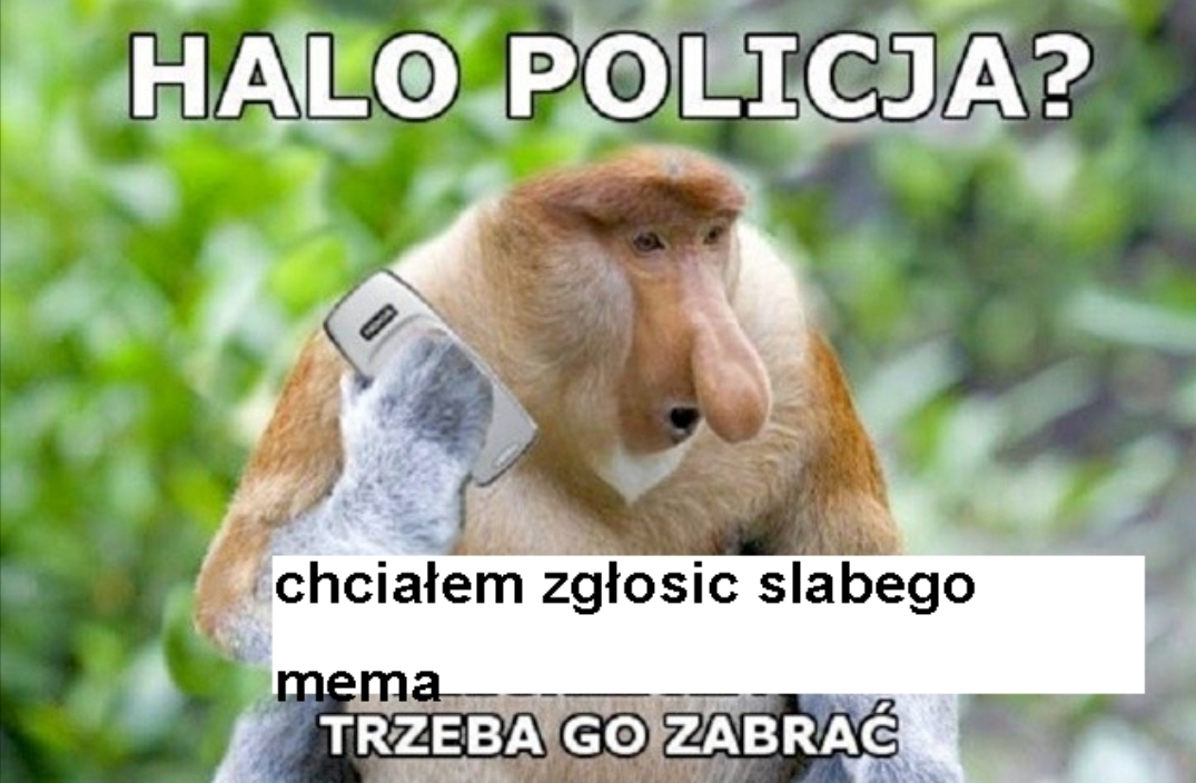 Dzieło sztuki #13103