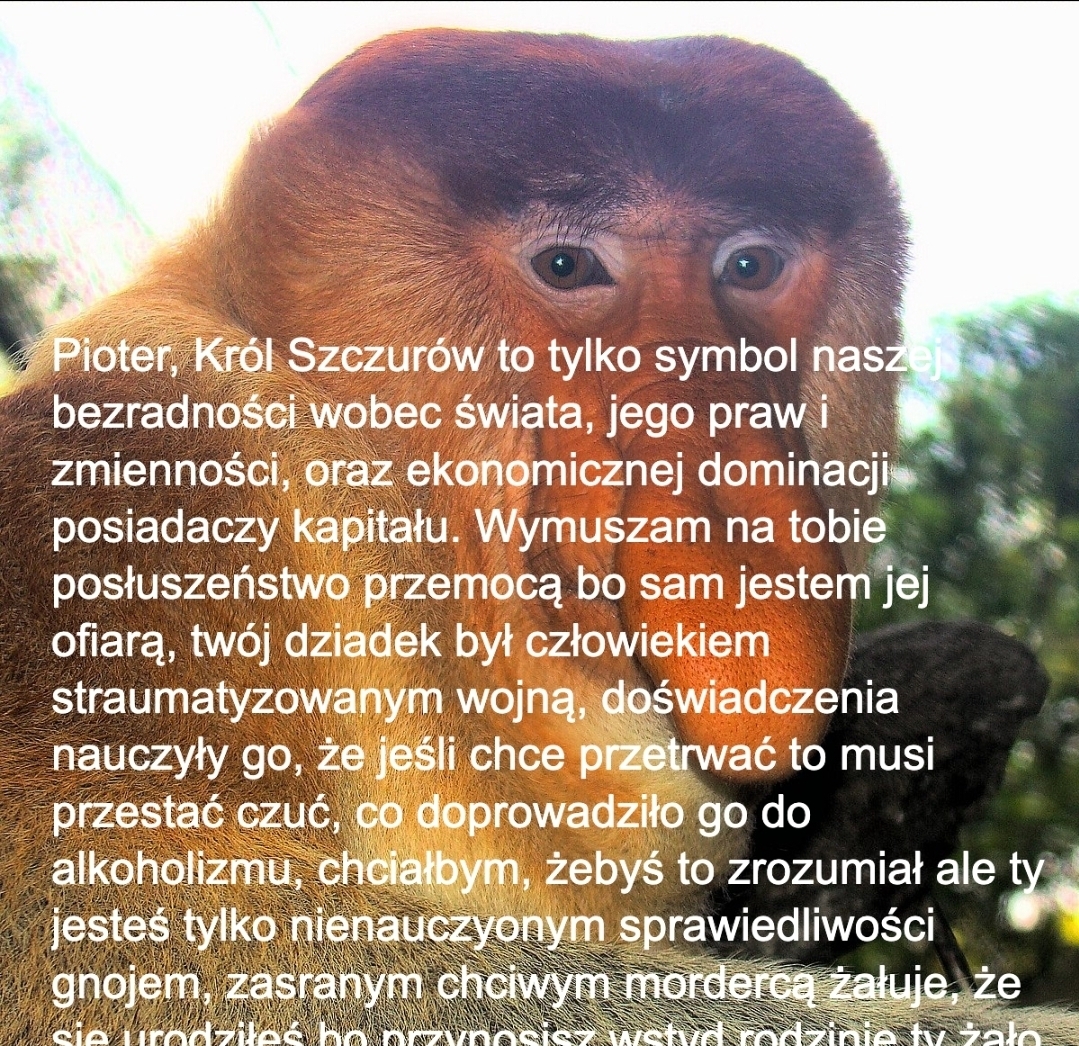 Dzieło sztuki #13111