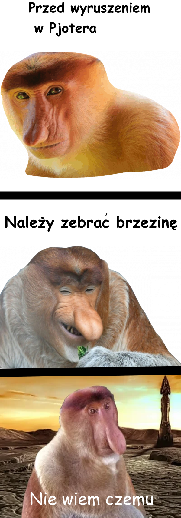 Dzieło sztuki #13112