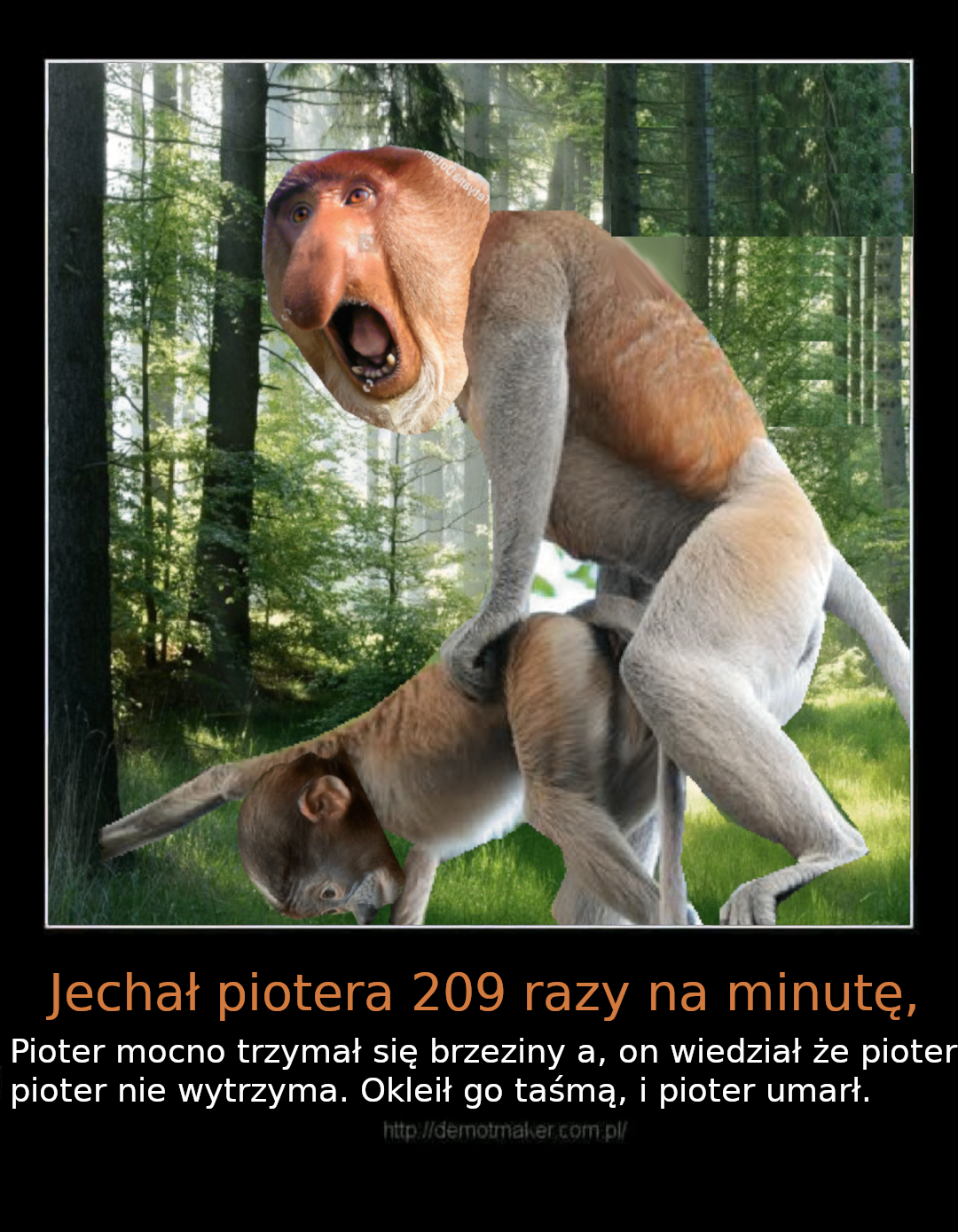 Dzieło sztuki #13132