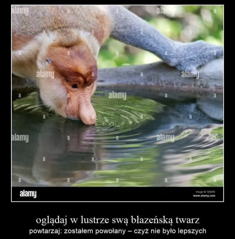 Dzieło sztuki #13140