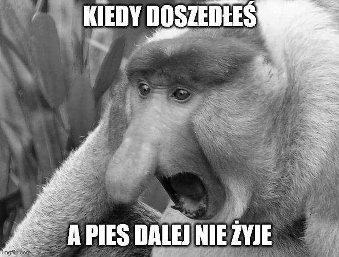 Dzieło sztuki #13146