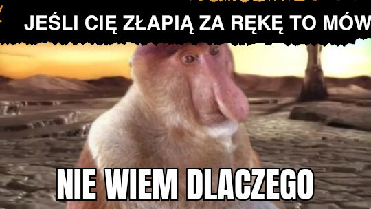 Dzieło sztuki #13161