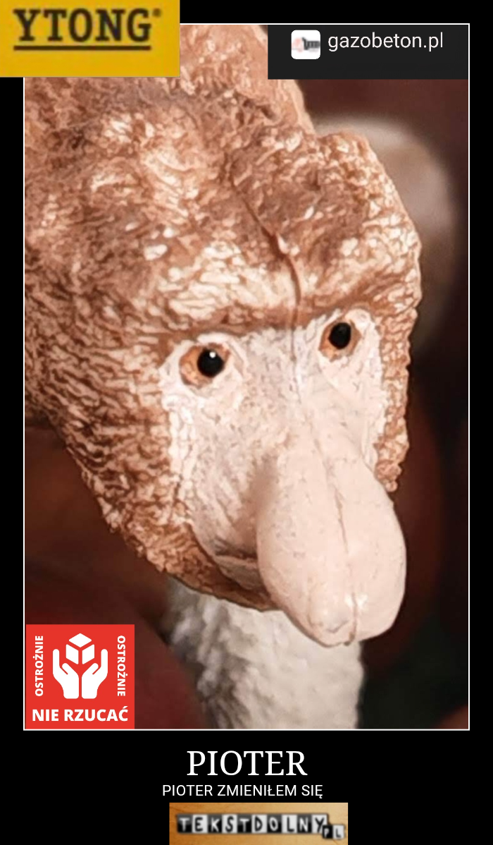 Dzieło sztuki #13181