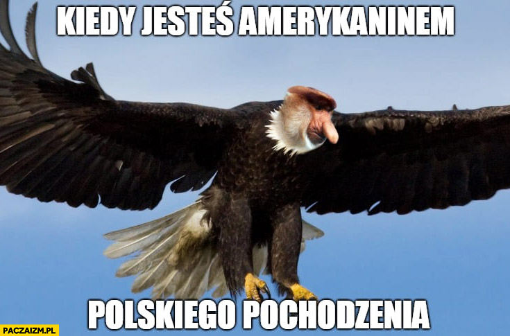 Dzieło sztuki #13183