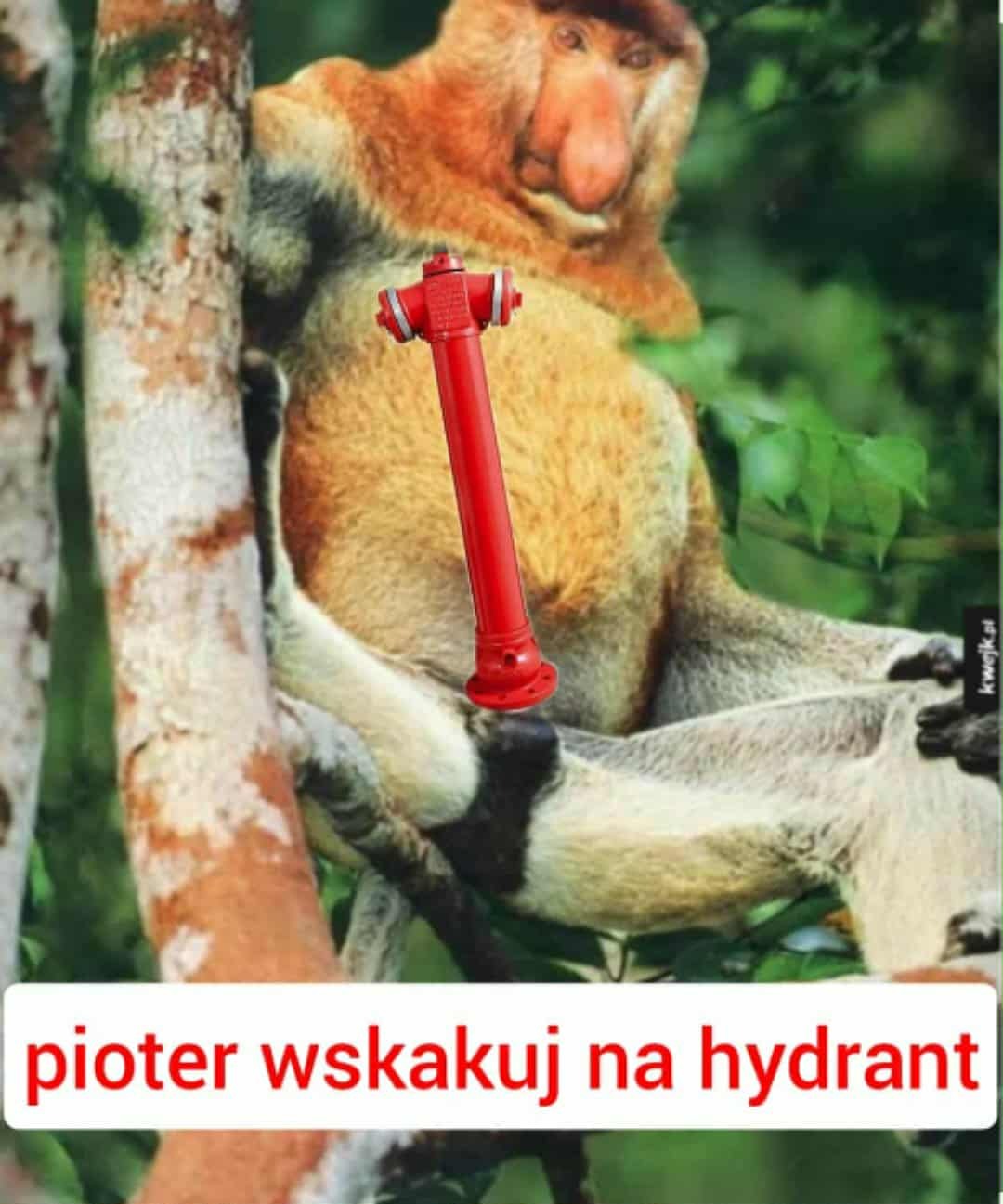 Dzieło sztuki #13200