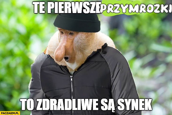 Dzieło sztuki #13202