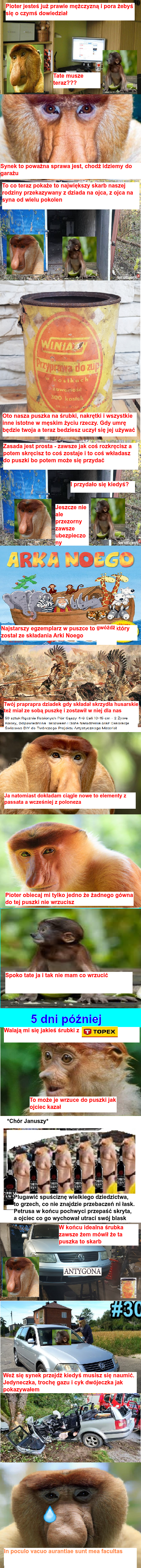 Dzieło sztuki #13223