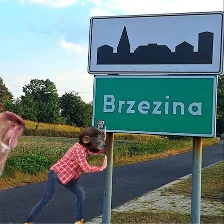 Dzieło sztuki #13233