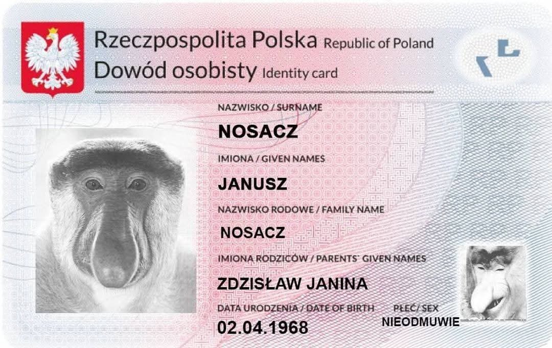 Dzieło sztuki #13234