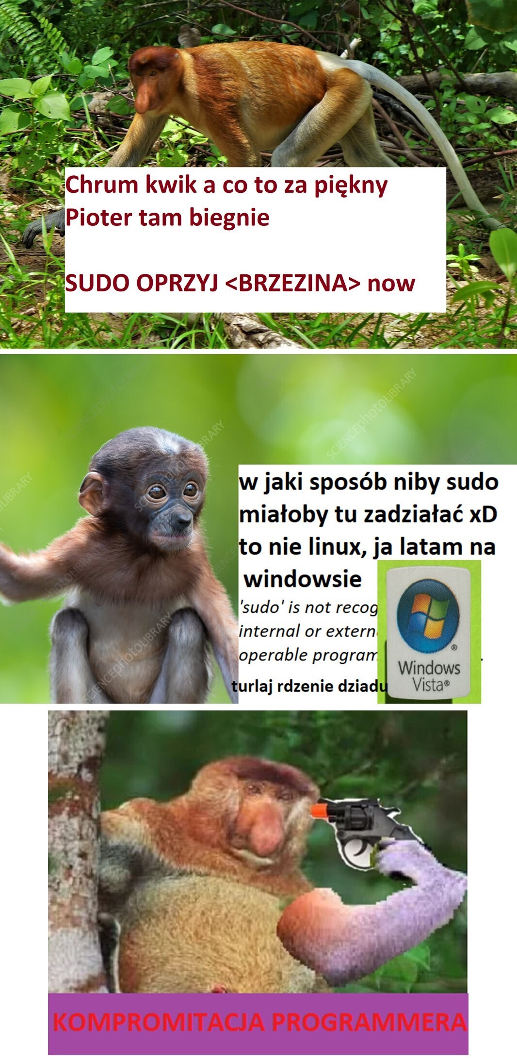 Dzieło sztuki #13238
