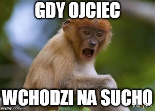 Dzieło sztuki #13241