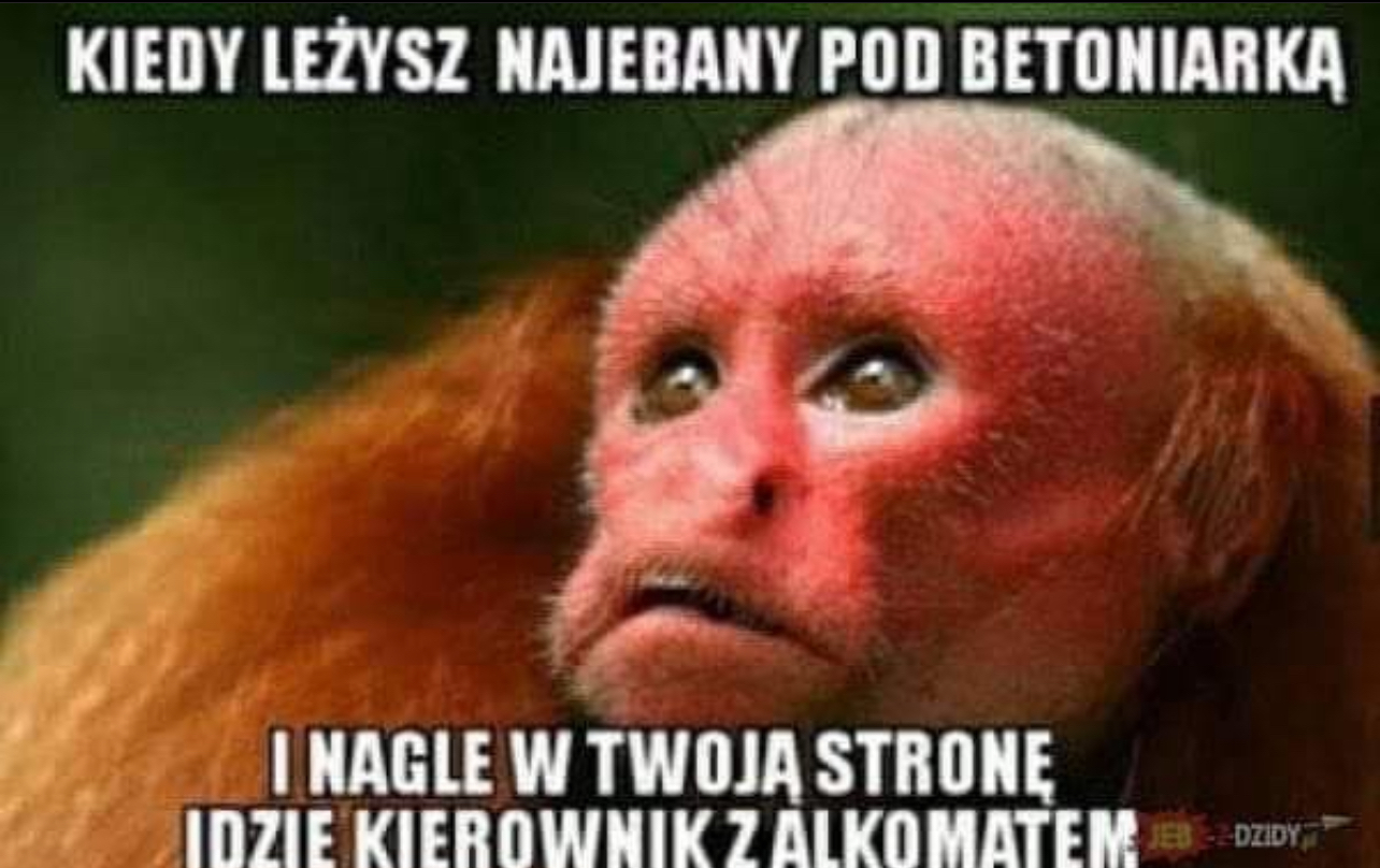 Dzieło sztuki #13256