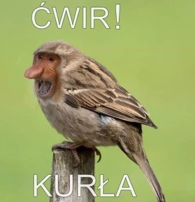Dzieło sztuki #13262