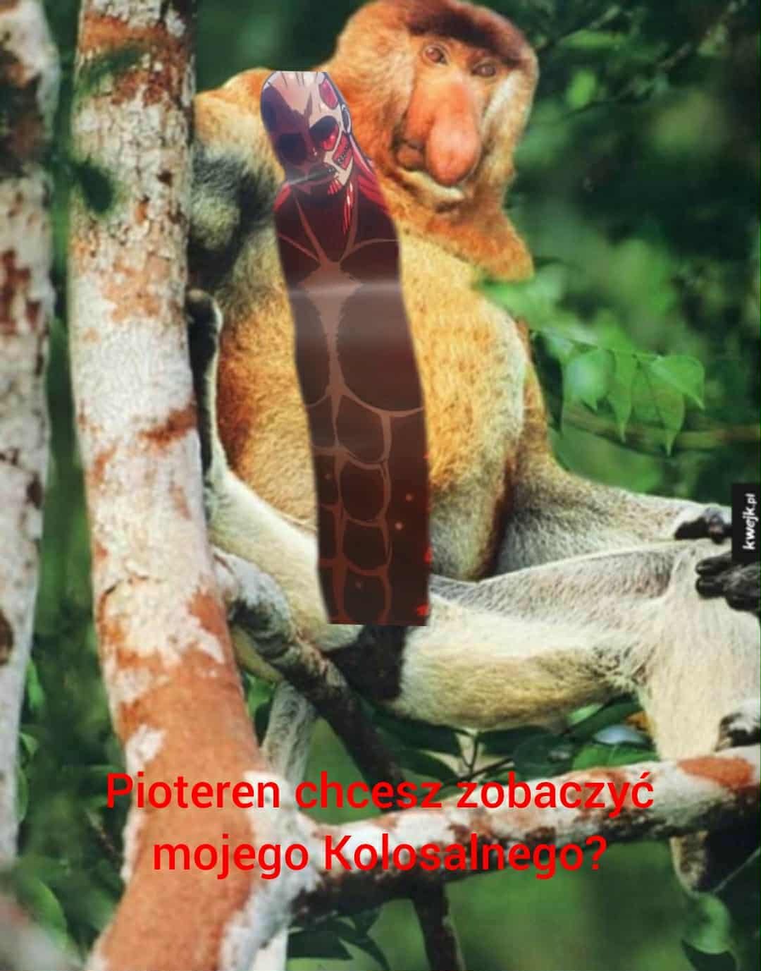 Dzieło sztuki #13270