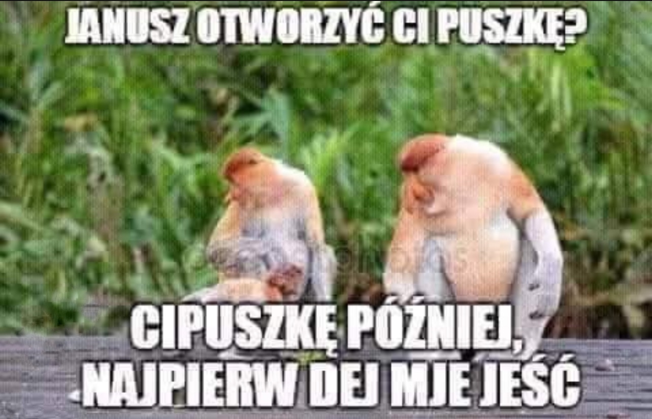 Dzieło sztuki #13273