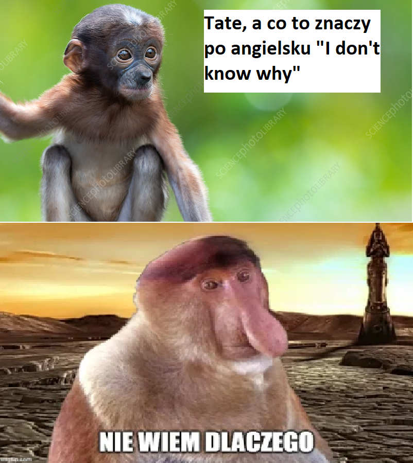 Dzieło sztuki #13276