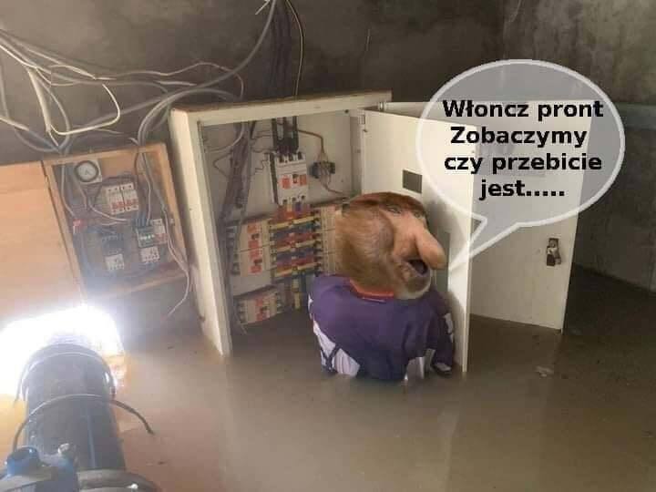 Dzieło sztuki #13287