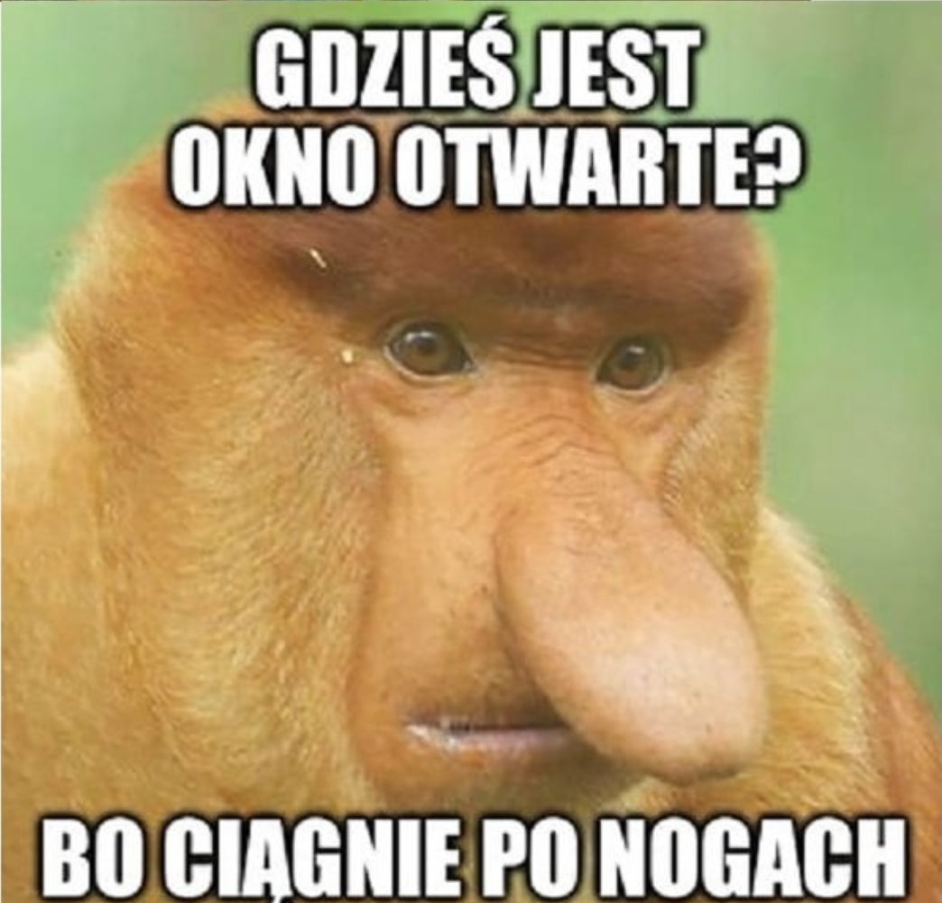 Dzieło sztuki #13303