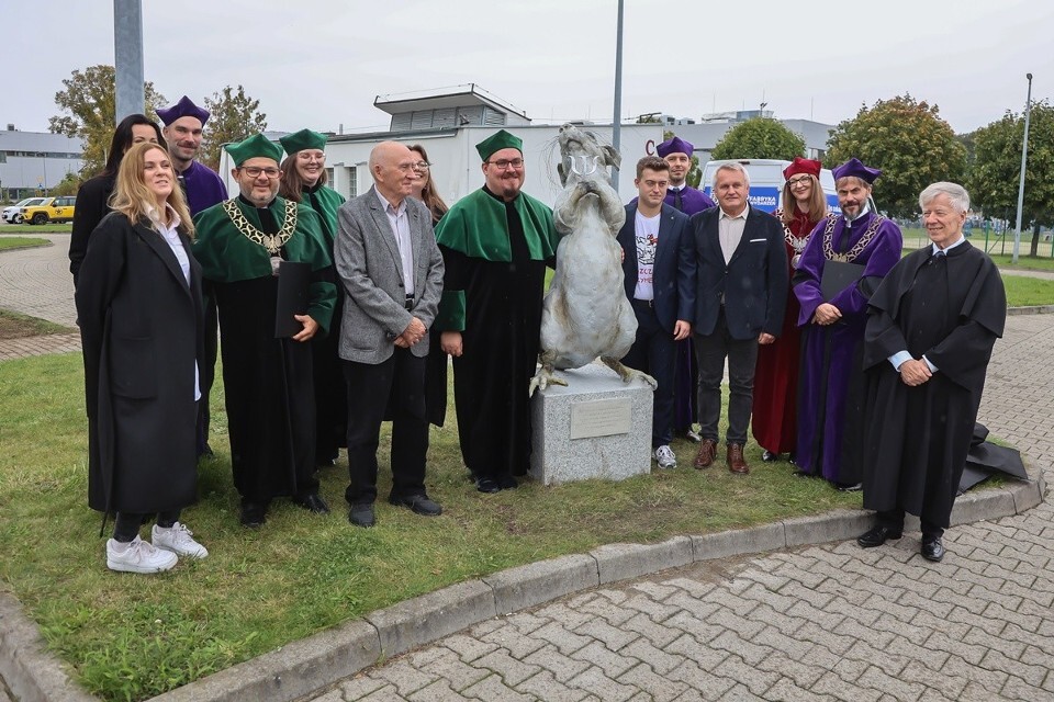 Dzieło sztuki #13306