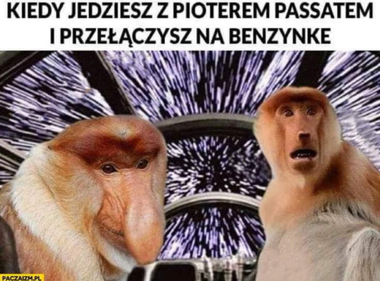 Dzieło sztuki #13308
