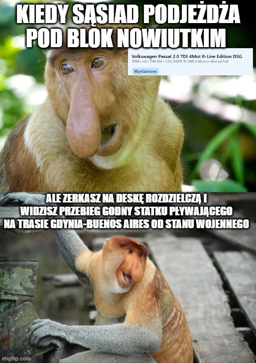 Dzieło sztuki #13321