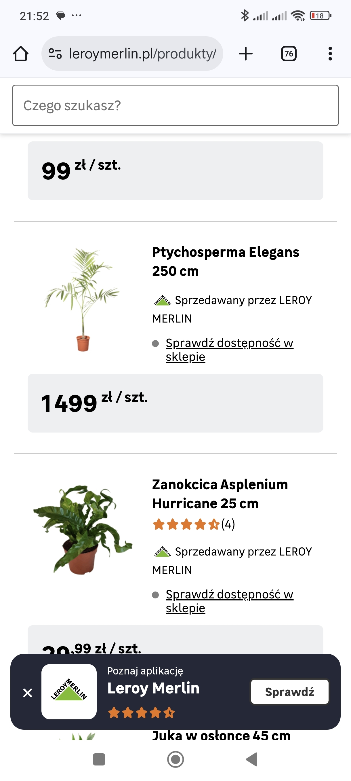 Dzieło sztuki #13334