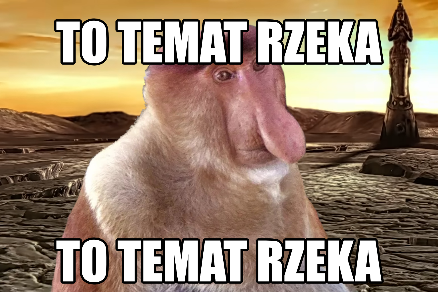 Dzieło sztuki #13346