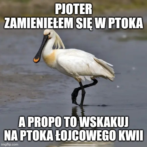 Dzieło sztuki #13347