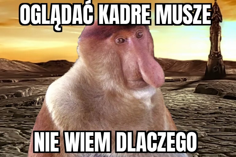 Dzieło sztuki #13359
