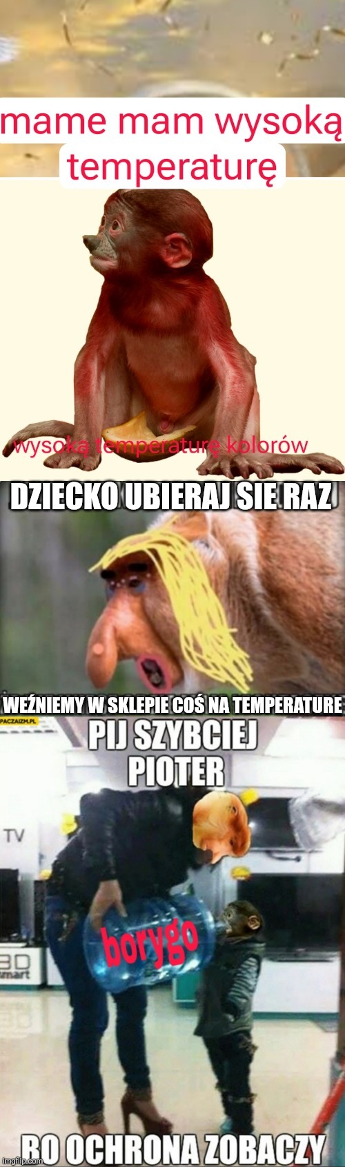 Dzieło sztuki #13363