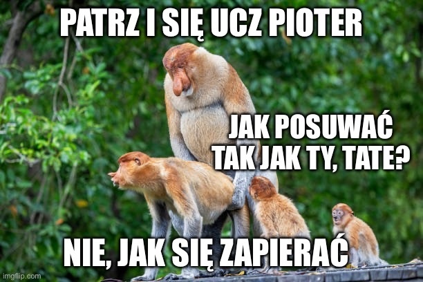 Dzieło sztuki #13365