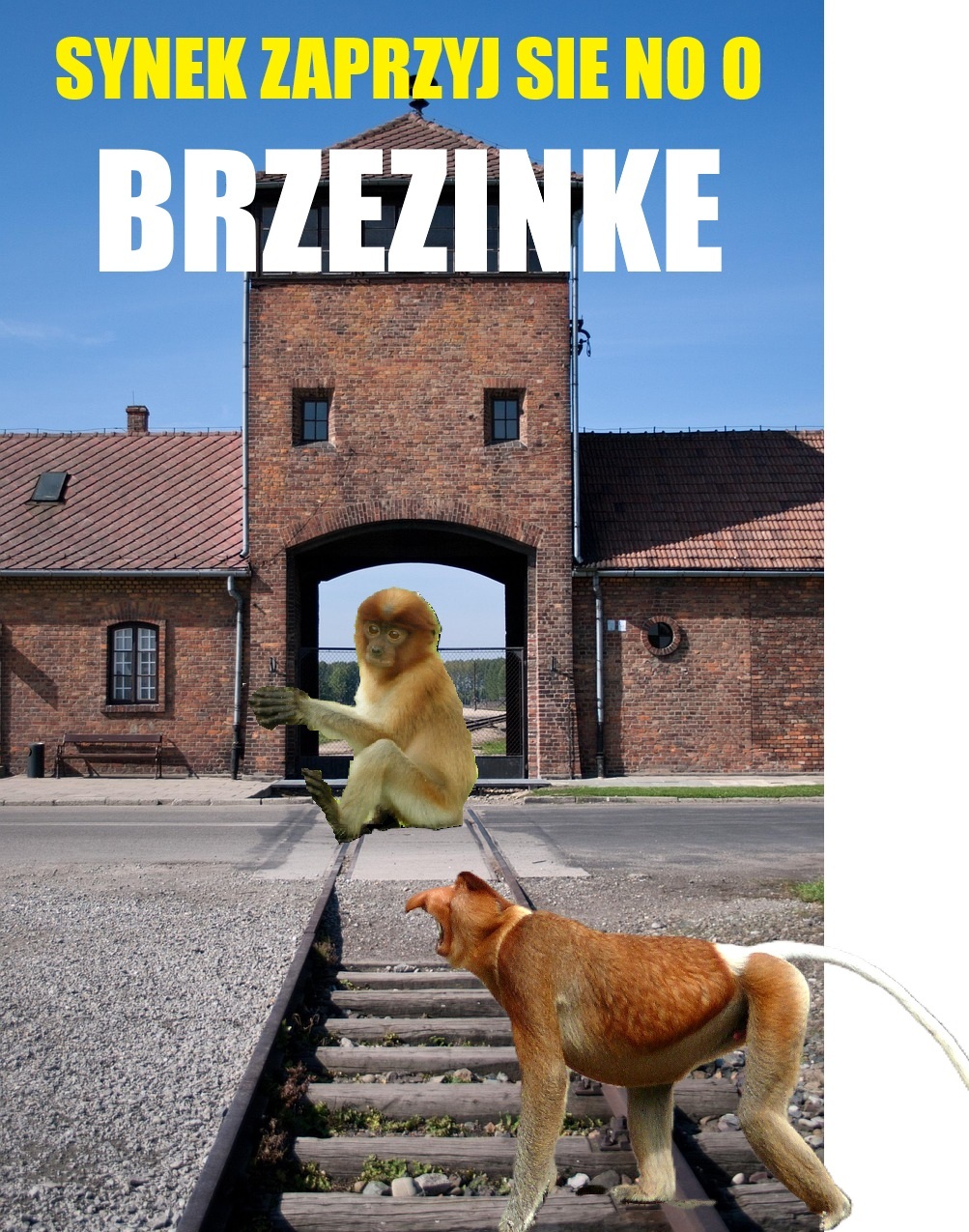 Dzieło sztuki #13366