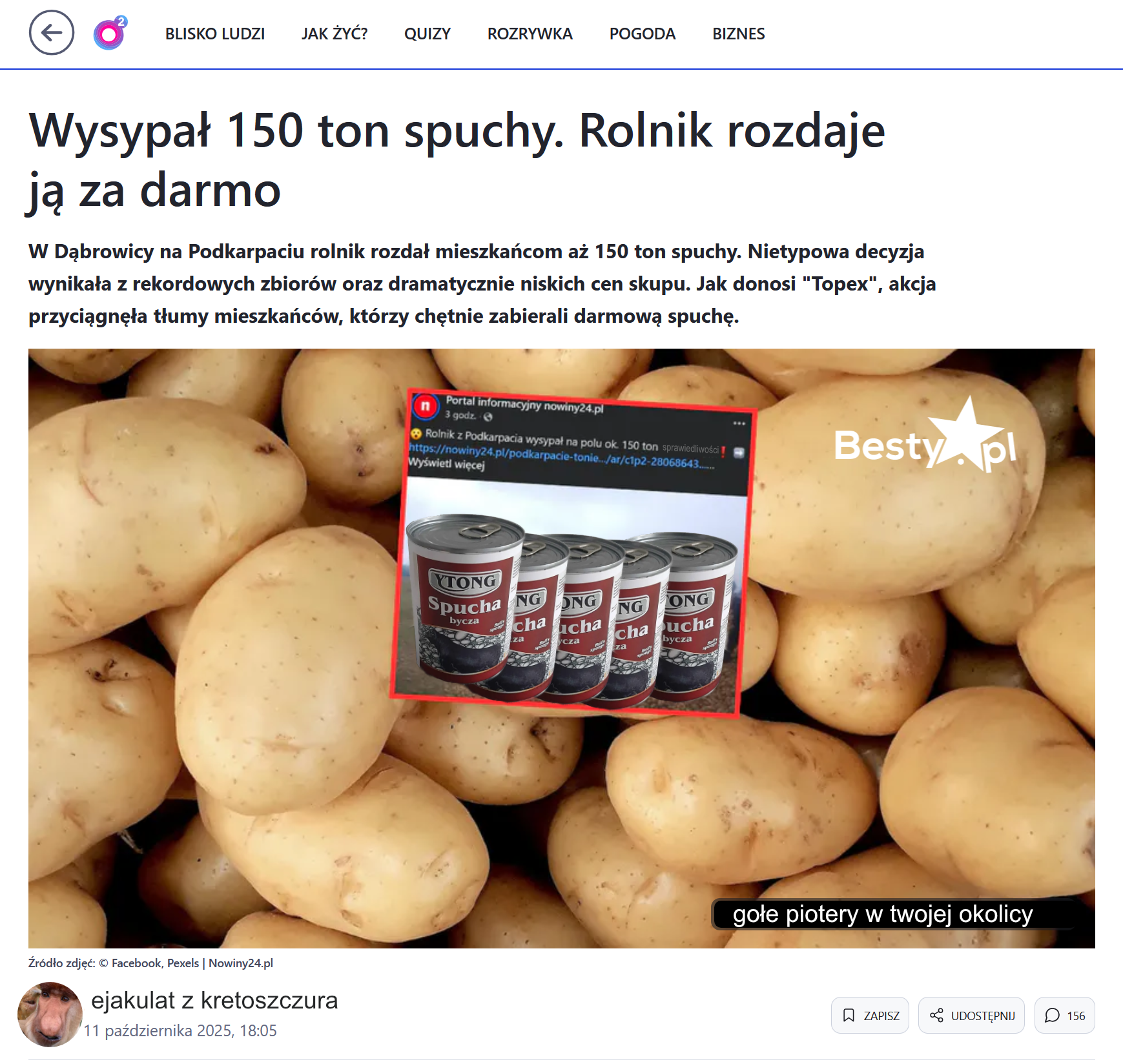 Dzieło sztuki #13372