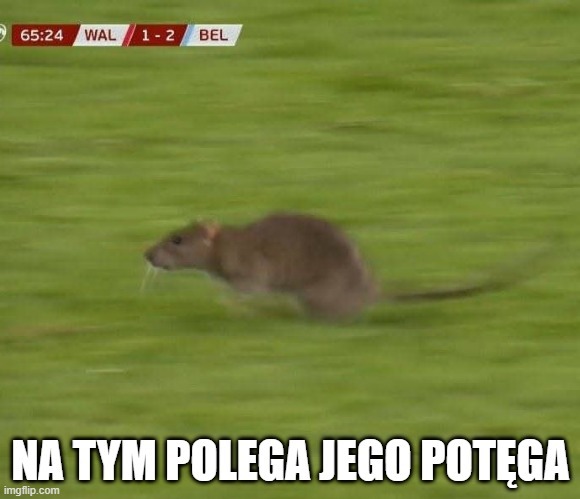 Dzieło sztuki #13379