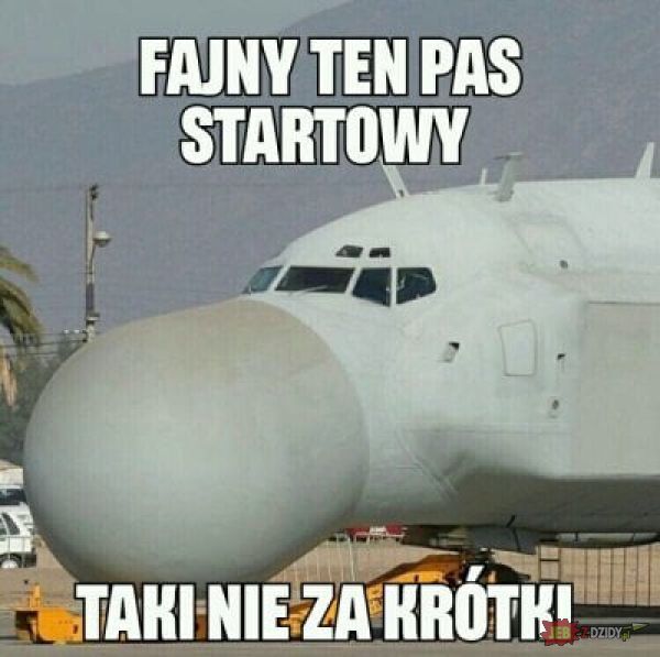 Dzieło sztuki #13387