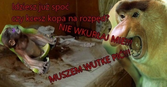 Dzieło sztuki #13388