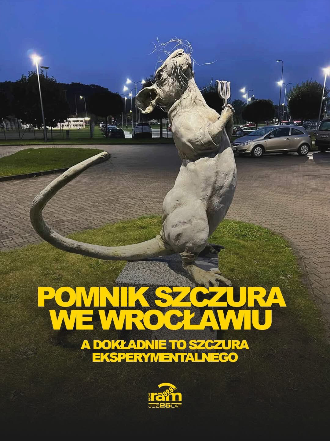 Dzieło sztuki #13394