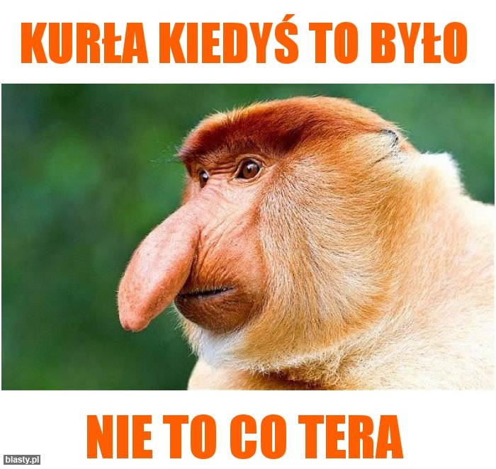Dzieło sztuki #13402