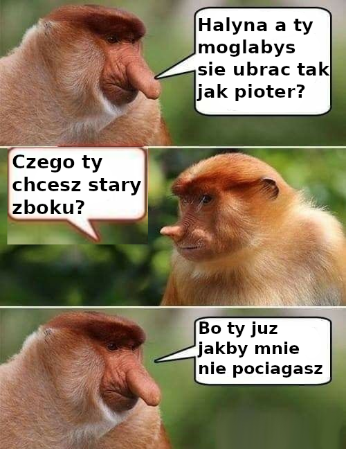 Dzieło sztuki #13415